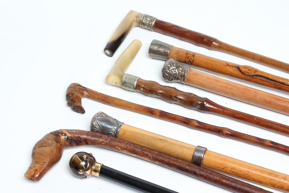 EIGHT WALKING STICKS Image