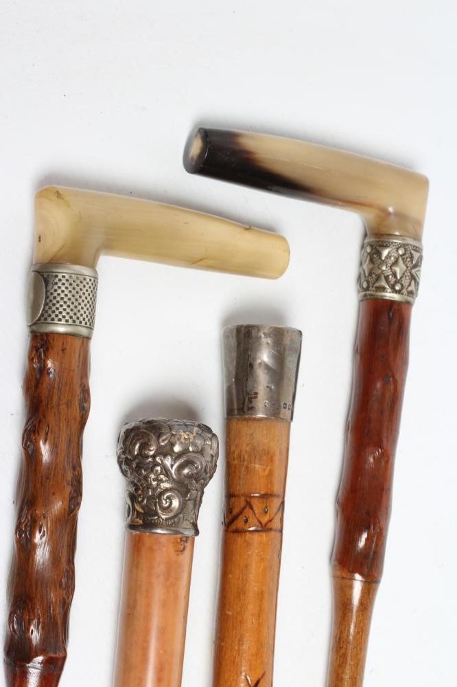 EIGHT WALKING STICKS Image