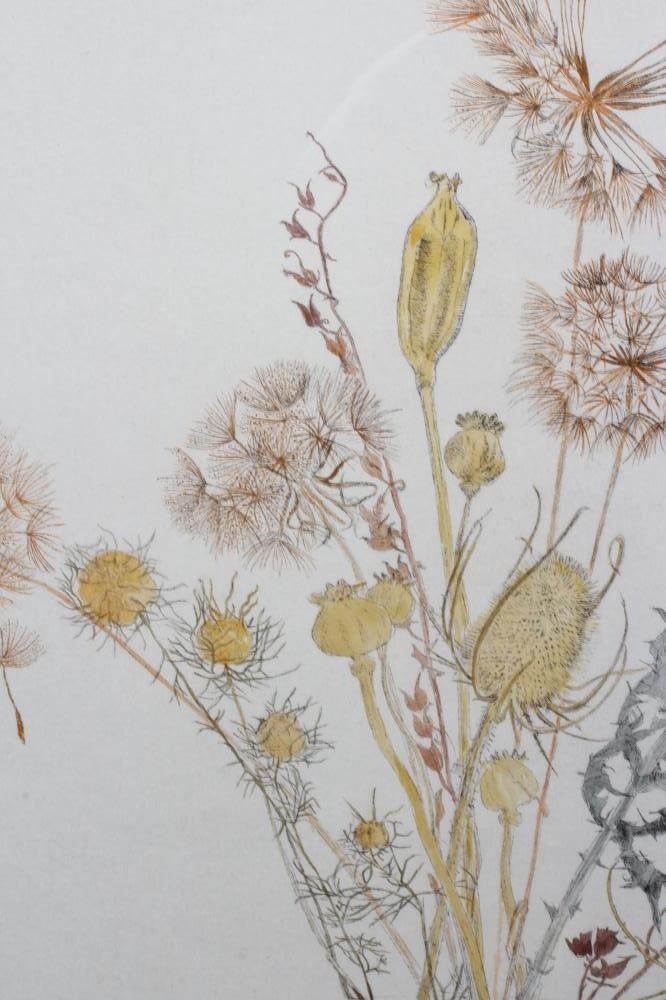 GILLIAN WHAITE (1934-2012) Clocks and Seedcases, signed lower right Gillian Whaite, etching and Image