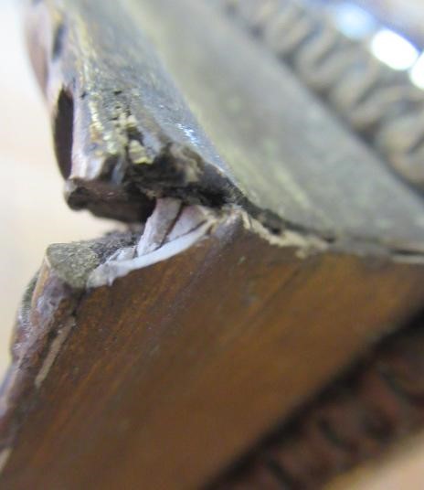 BRITISH SCHOOL (Late 19th Century) A Woodland Scene in the Pre-Raphaelite style, watercolour, 28" x Image