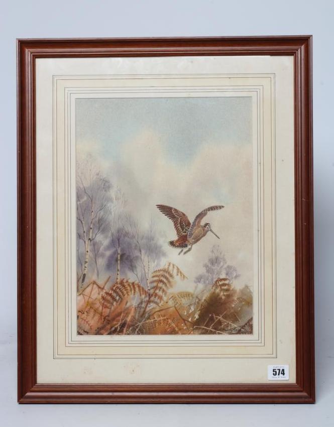 ROBERT W MILLIKEN (1920-2014) Woodcock, signed lower right, watercolour, 14" x 10", modern frame Image