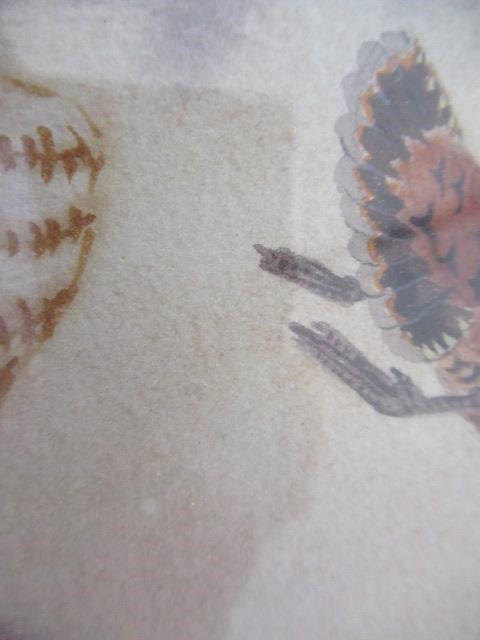 ROBERT W MILLIKEN (1920-2014) Woodcock, signed lower right, watercolour, 14" x 10", modern frame Image