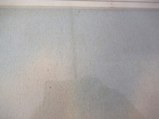 ROBERT W MILLIKEN (1920-2014) Woodcock, signed lower right, watercolour, 14" x 10", modern frame Image