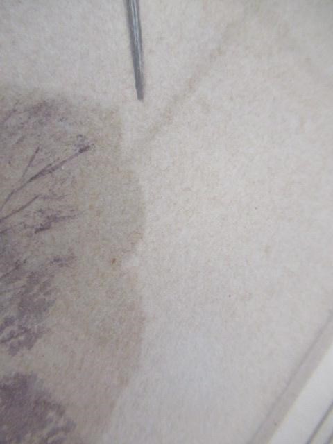 ROBERT W MILLIKEN (1920-2014) Woodcock, signed lower right, watercolour, 14" x 10", modern frame Image