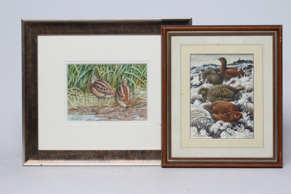 DAVID BINNS (1935-2020) Pair of Snipe Image