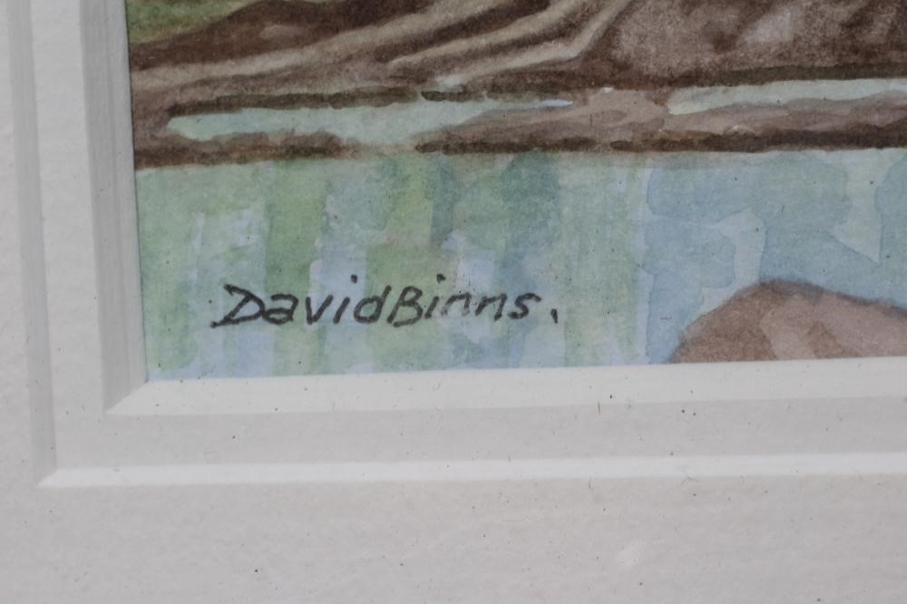 DAVID BINNS (1935-2020) Pair of Snipe Image