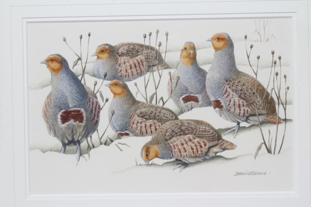 DAVID BINNS (1935-2020) Hawthorne Harvest Image