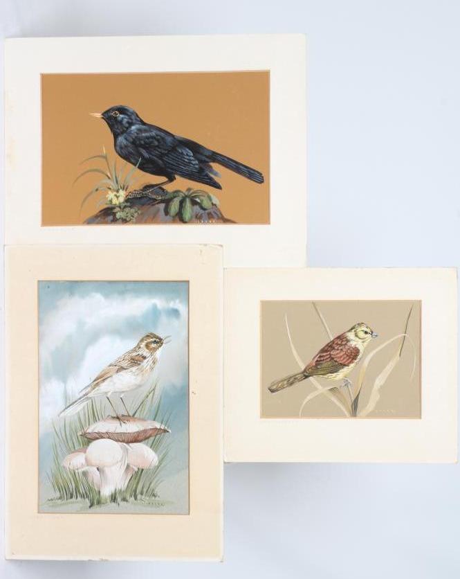 JOHN CRANK (1923-2003) 'Skylark', 'Yellowhammer' and 'Blackbird', all signed, watercolour and Image
