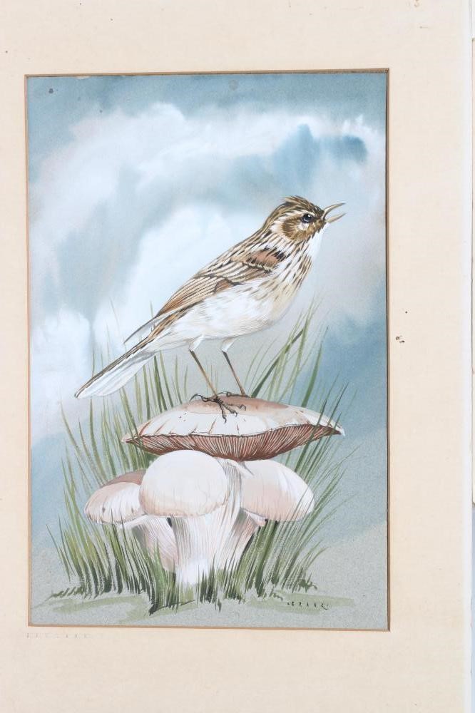 JOHN CRANK (1923-2003) 'Skylark', 'Yellowhammer' and 'Blackbird', all signed, watercolour and Image
