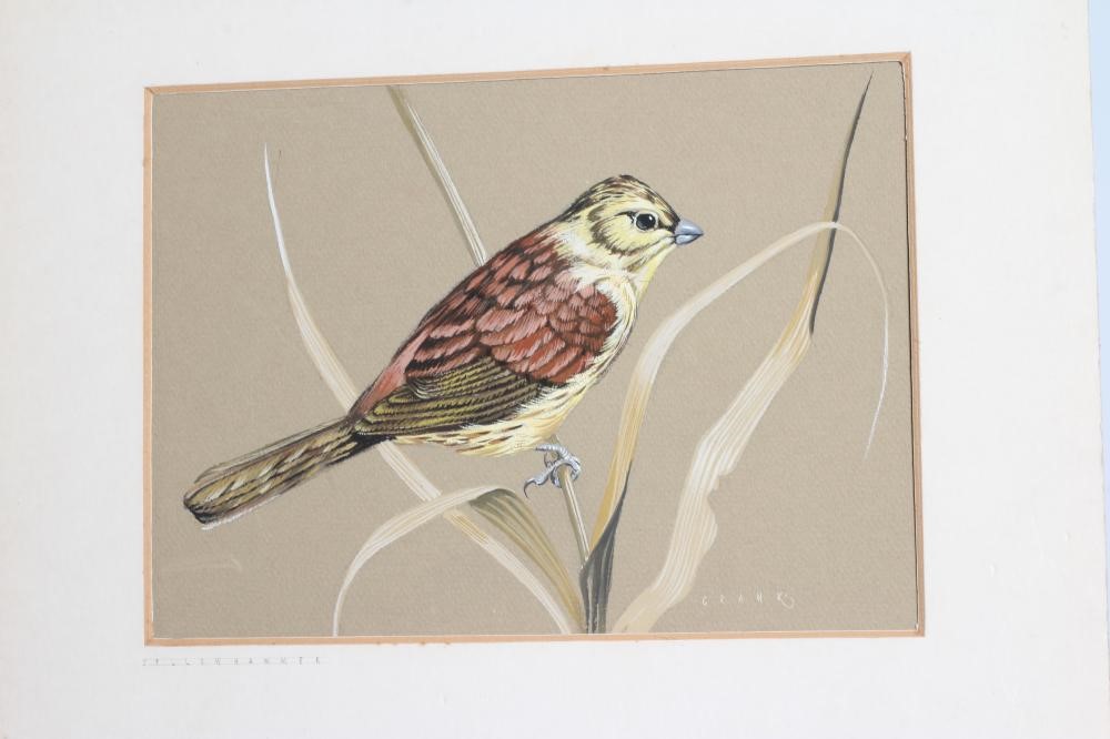 JOHN CRANK (1923-2003) 'Skylark', 'Yellowhammer' and 'Blackbird', all signed, watercolour and Image