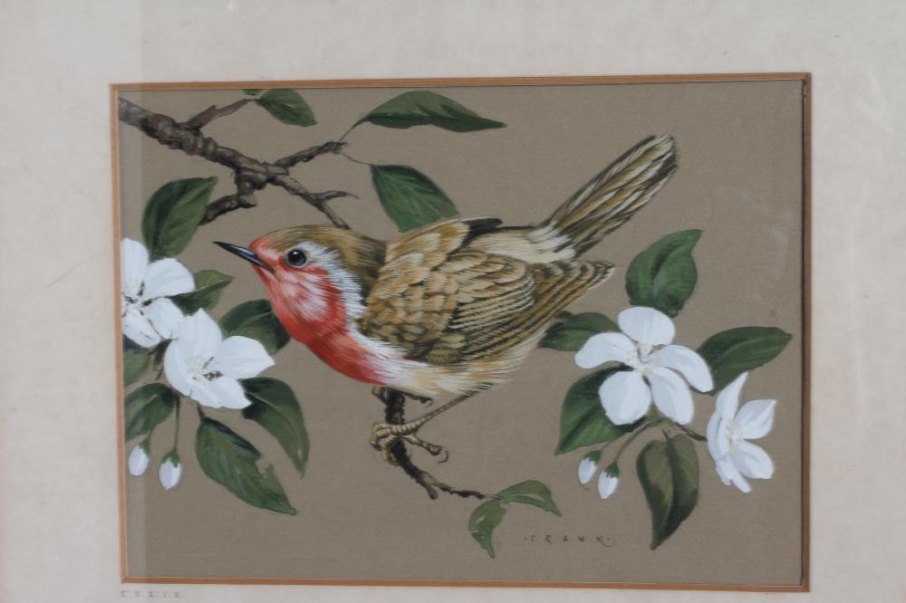 JOHN CRANK (1923-2003) 'Robin' and 'Songthrush', a pair, both signed, watercolour and gouache, both Image