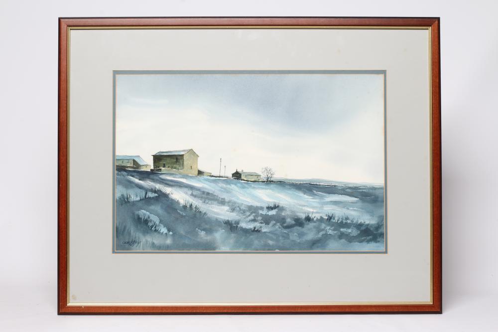 ASHLEY JACKSON (b.1940) Moorland Farm Buildings, signed lower left, watercolour, 14" x 21", framed Image