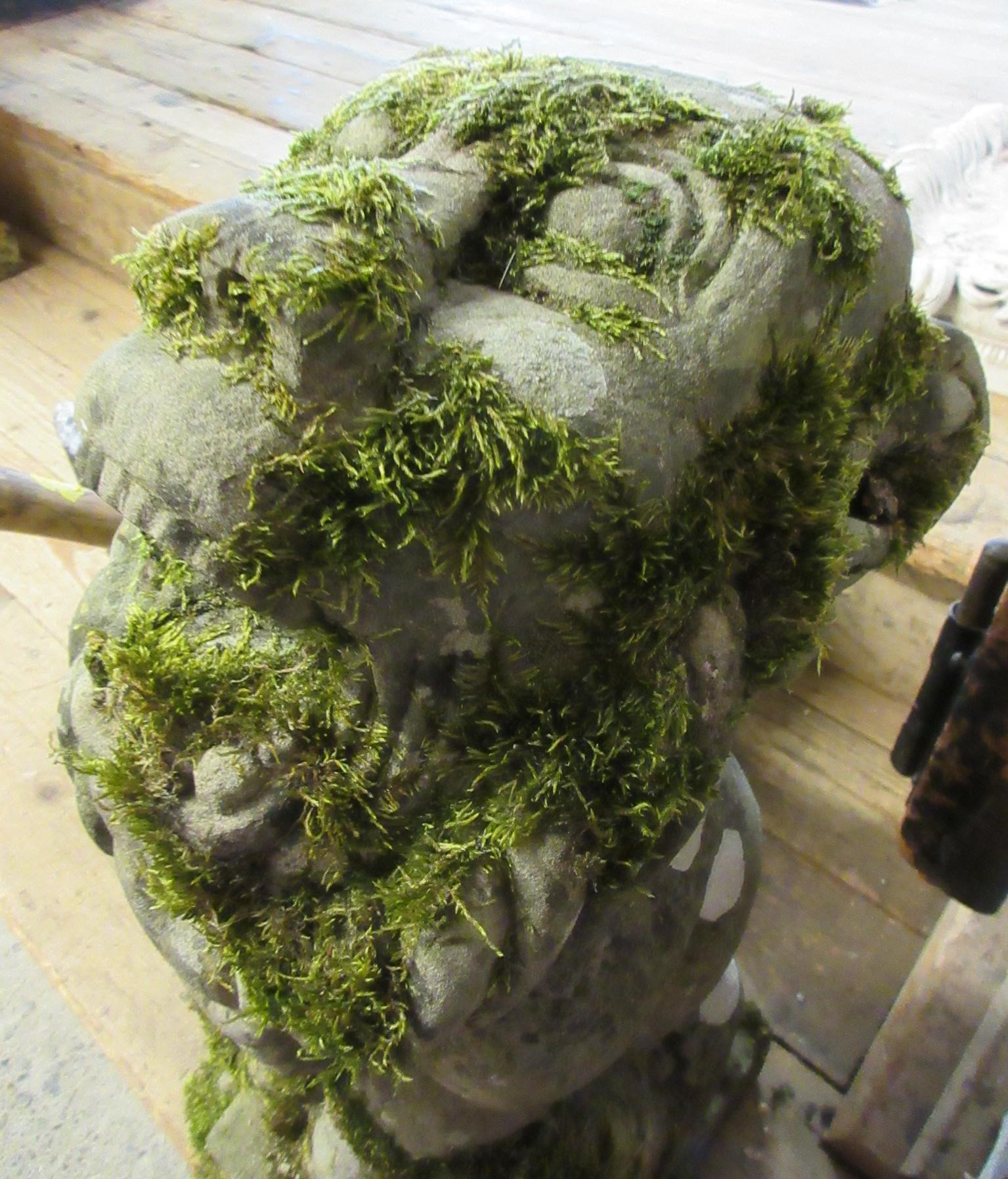 A CARVED SANDSTONE BEARDED GARGOYLE modelled seated with paw feet and open mouth, 7" x 20 1/2" Image