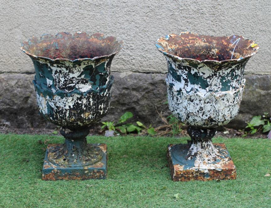 A SMALL PAIR OF CAST IRON URNS, c.1900, the tapering body with scalloped rim over stiff leaf Image