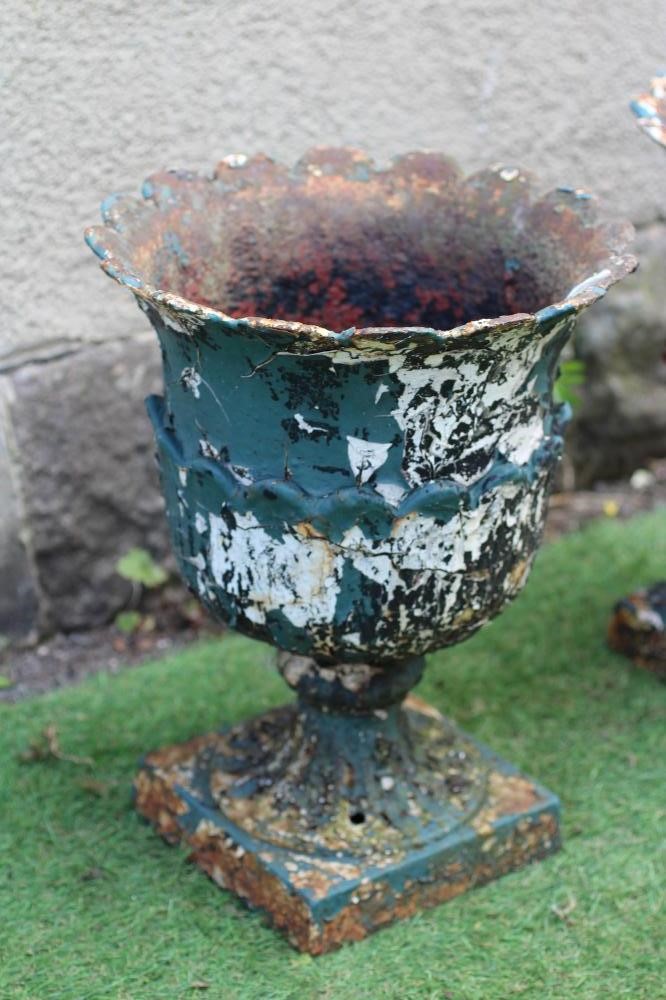 A SMALL PAIR OF CAST IRON URNS, c.1900, the tapering body with scalloped rim over stiff leaf Image