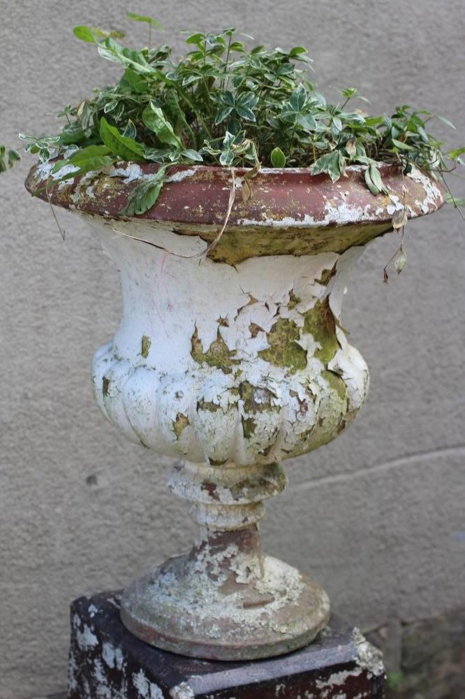 A TERRACOTTA URN of half fluted campana form on moulded circular base, raised on associated salt Image