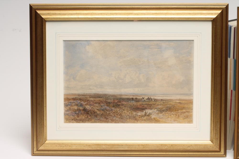 DAVID COX II (1809-1885) Image
