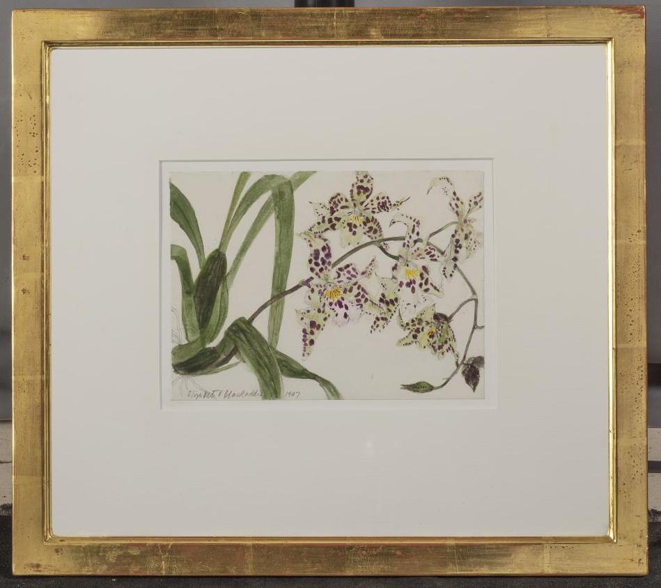 ‡ELIZABETH VIOLET BLACKADDER O.B.E. (Scottish b.1931) Image