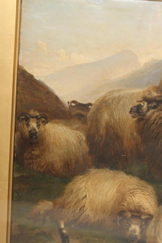 THOMAS SIDNEY COOPER R.A.I. (1808-1902) Image