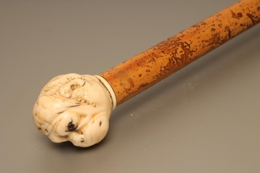 A VICTORIAN WALKING STICK Image