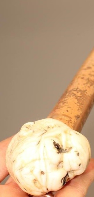 A VICTORIAN WALKING STICK Image