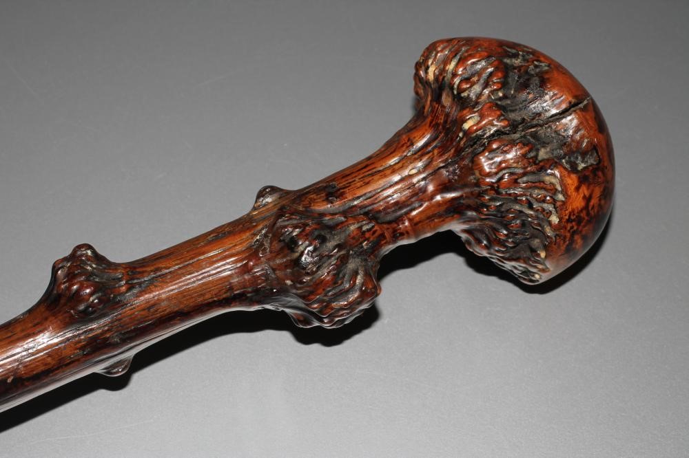 A BLACKTHORN WALKING STICK with polished shaft and pommel Image