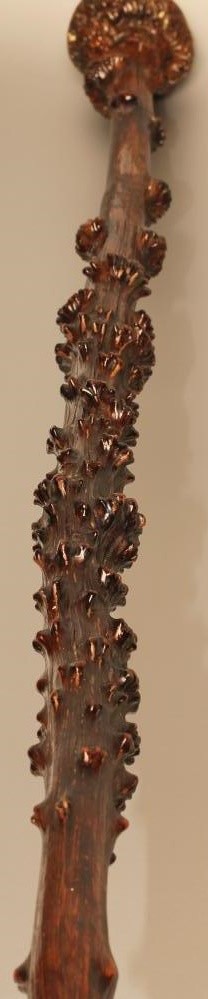 A BLACKTHORN WALKING STICK with polished shaft and pommel Image