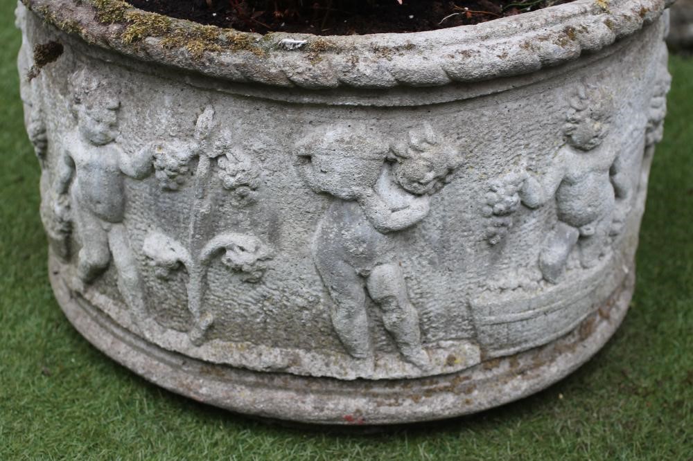 A COMPOSITION STONE PLANTER of circular form Image