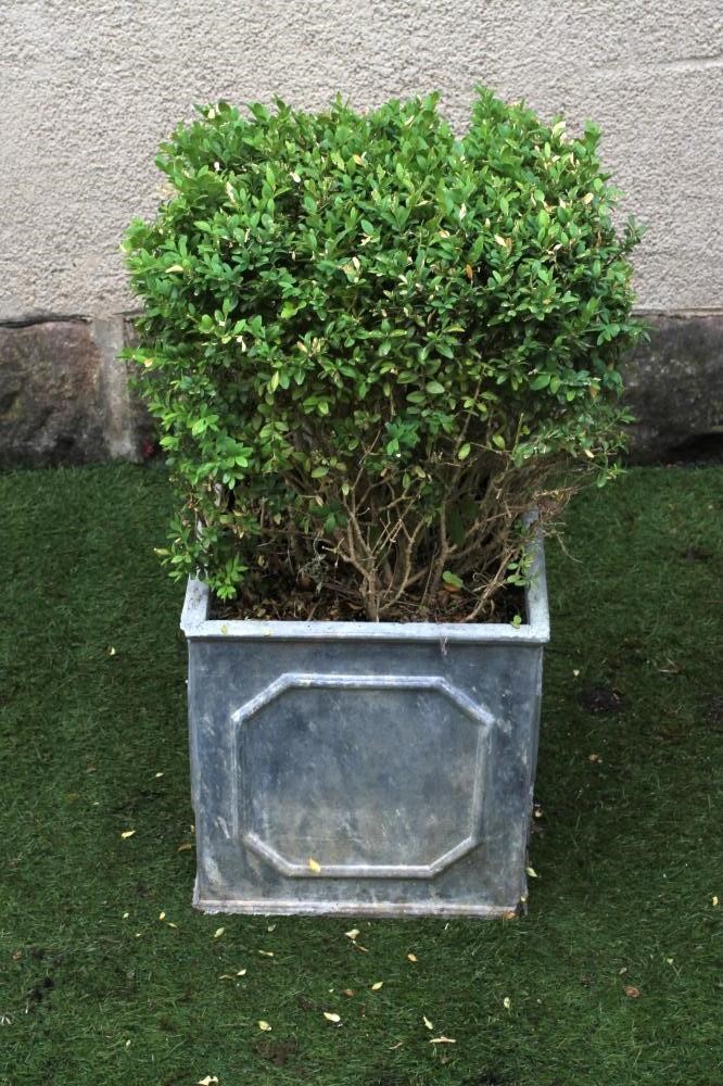 A PAIR OF LEAD PLANTERS Image