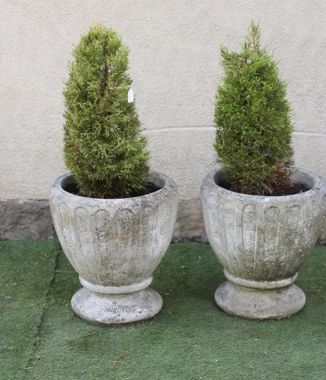 A PAIR OF COMPOSITION STONE URNS of ovoid fluted form raised on moulded circular base Image