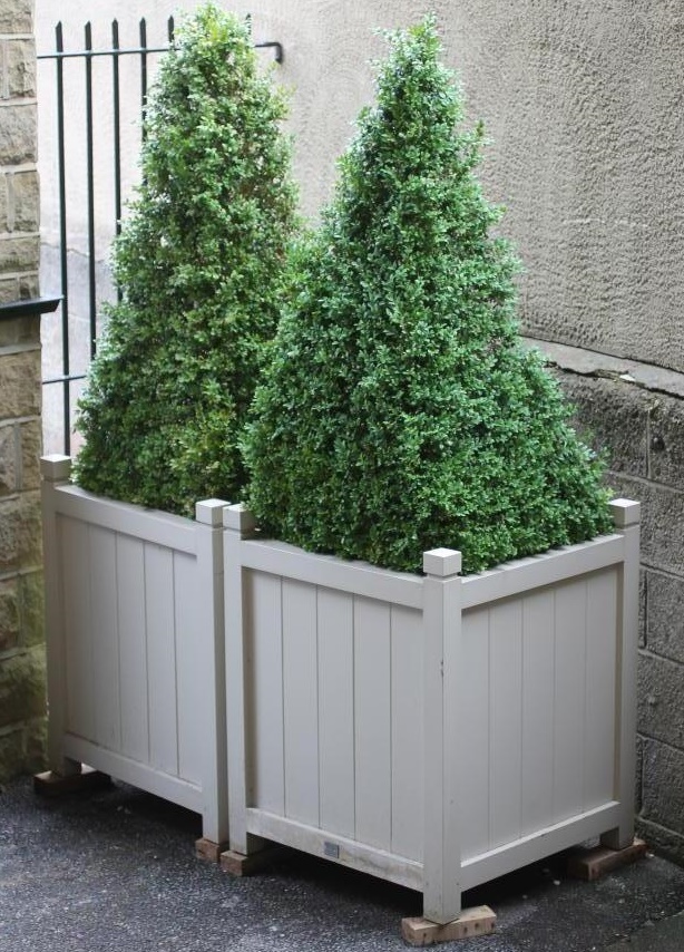 A PAIR OF LARGE WOODEN VERSAILLES TYPE PLANTERS Image
