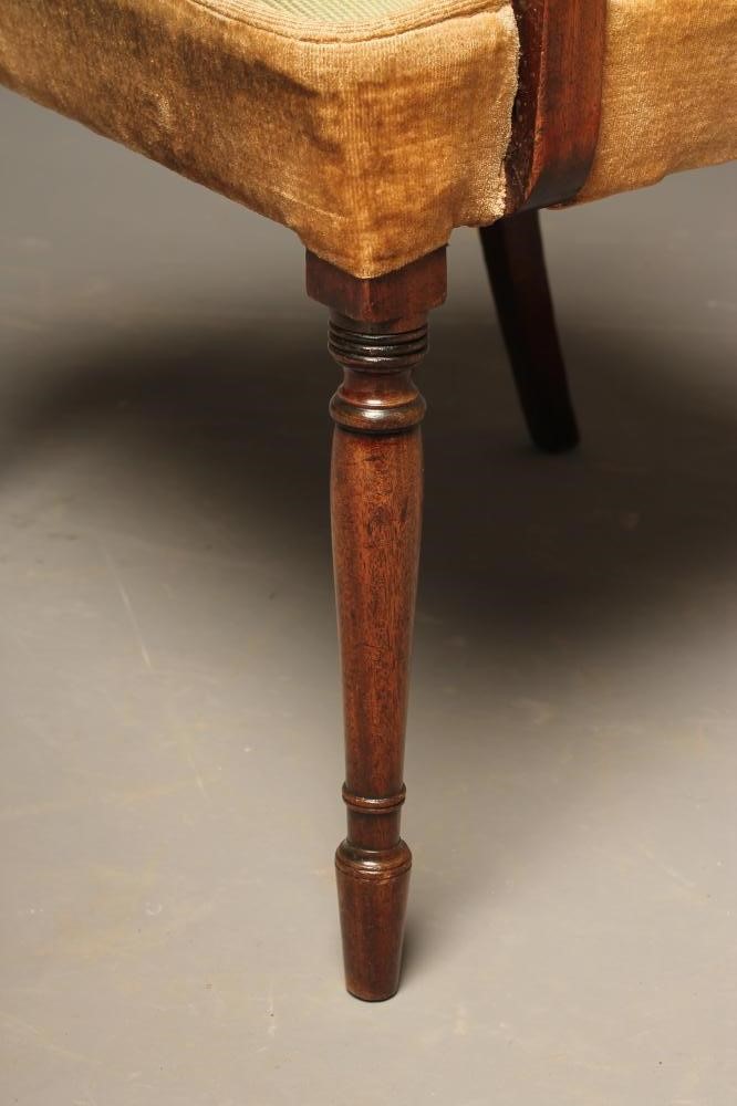 A GEORGIAN MAHOGANY DINING ELBOW CHAIR Image
