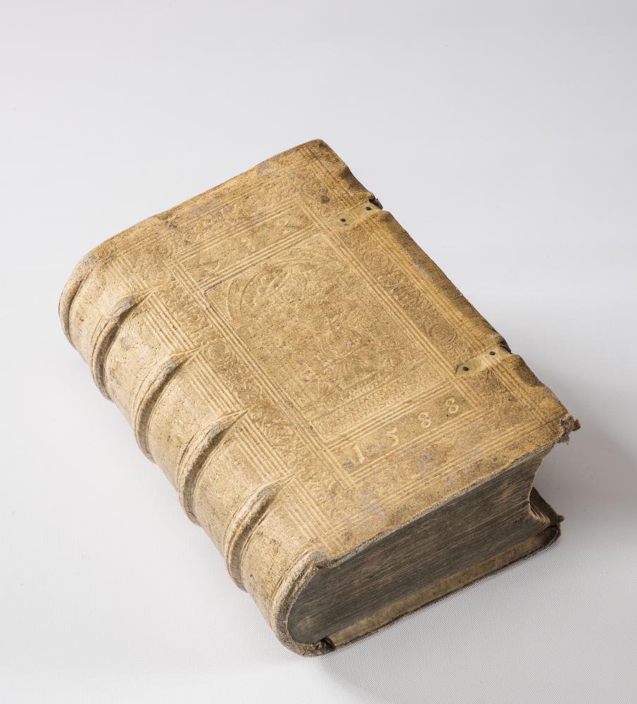 BLIND-STAMPED PIGSKIN Image