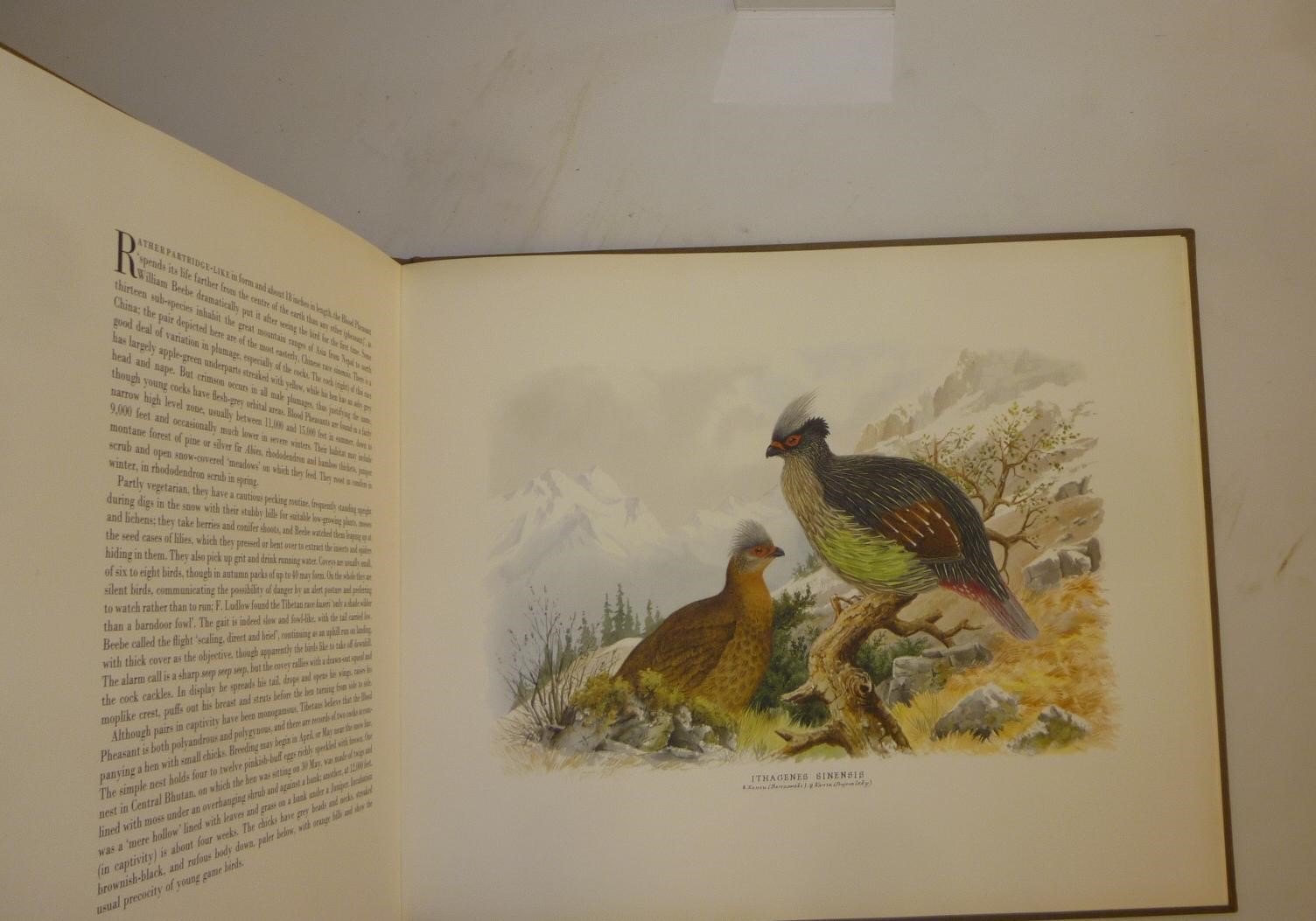 THE BIRD PAINTINGS OF HENRY JONES Image