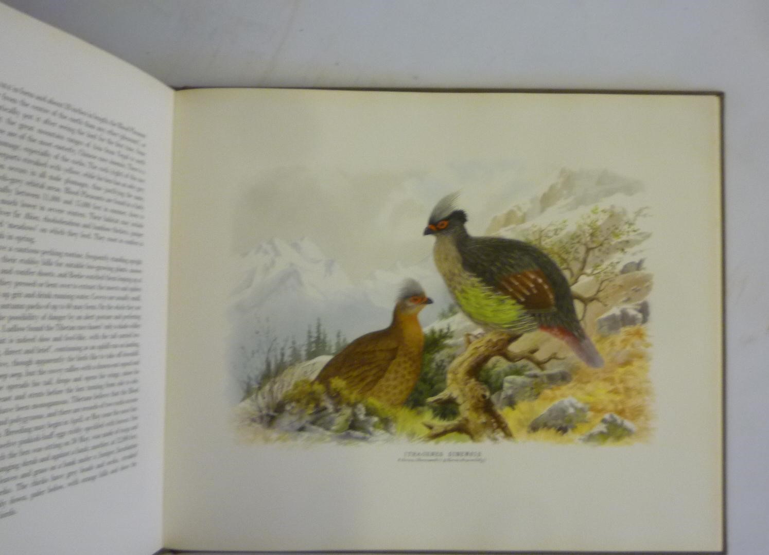 THE BIRD PAINTINGS OF HENRY JONES Image