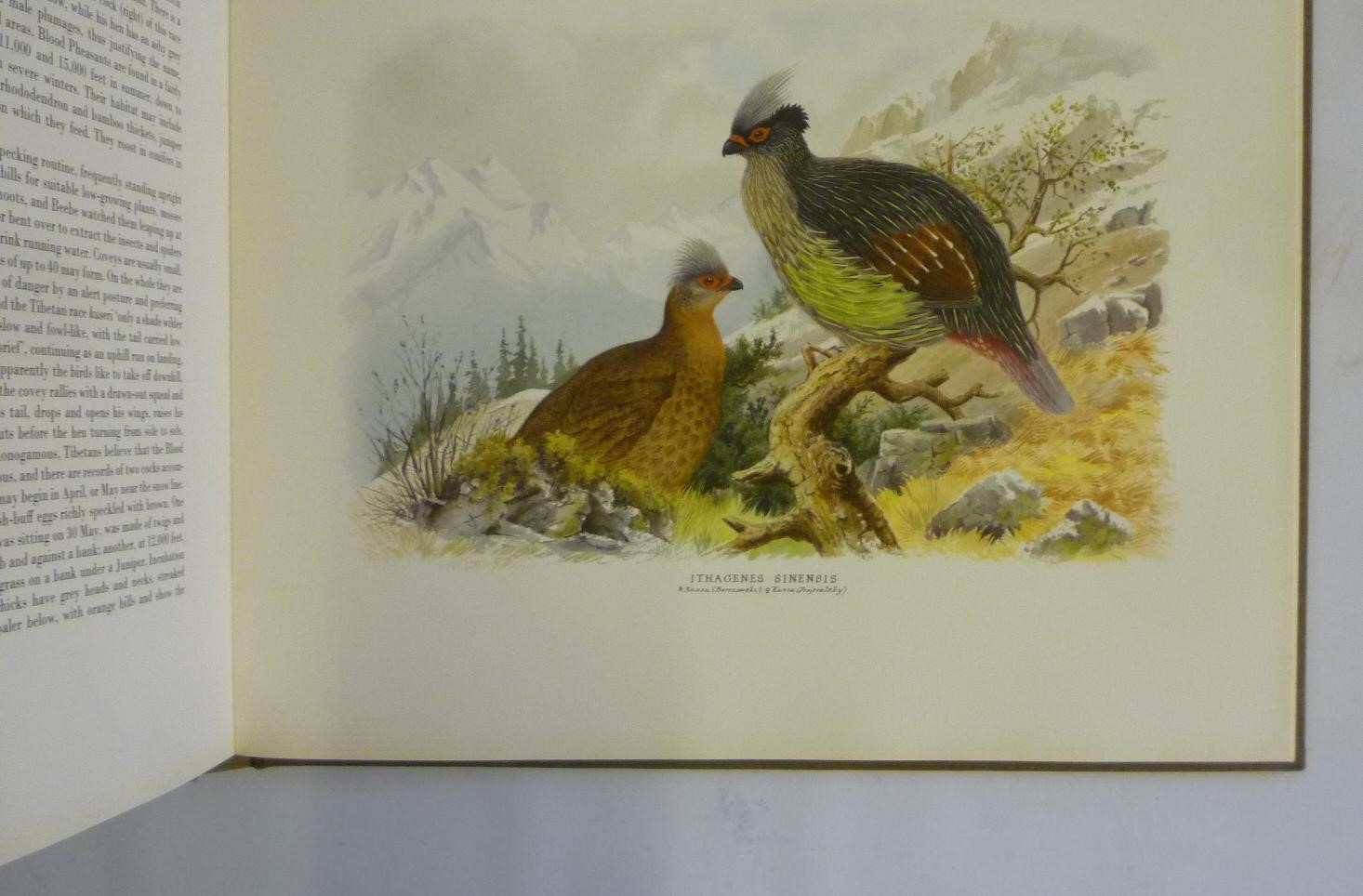 THE BIRD PAINTINGS OF HENRY JONES Image