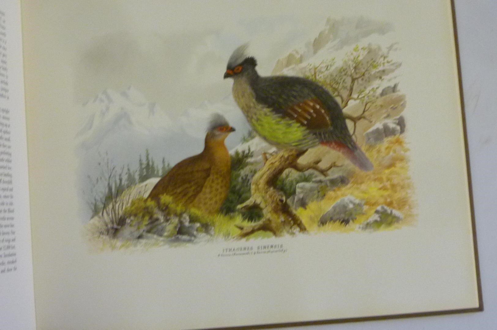 THE BIRD PAINTINGS OF HENRY JONES Image