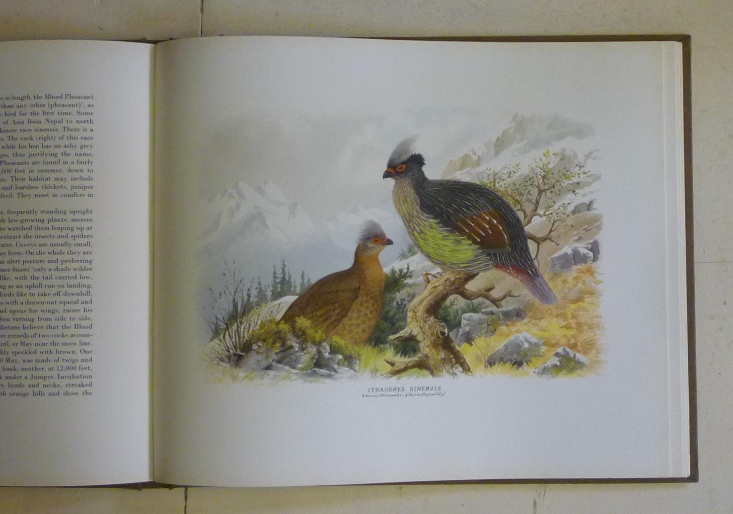 THE BIRD PAINTINGS OF HENRY JONES Image