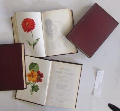 FAMILIAR GARDEN FLOWERS Image