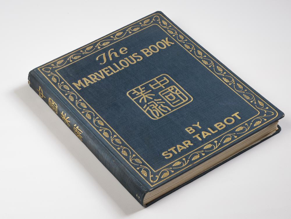 THE MARVELLOUS BOOK Image