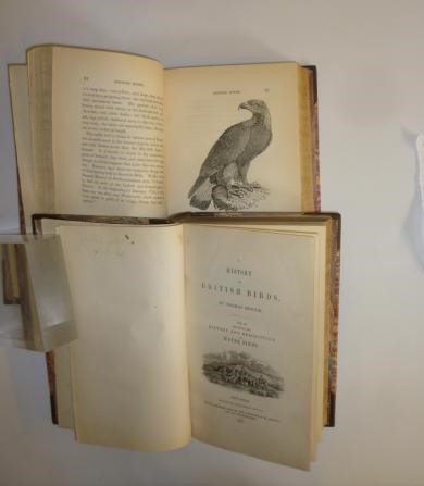 A HISTORY OF BRITISH BIRDS Image