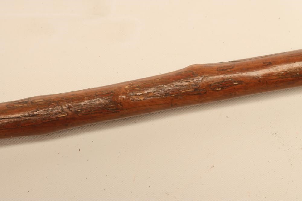 A SUDANESE THROWING SPEAR Image