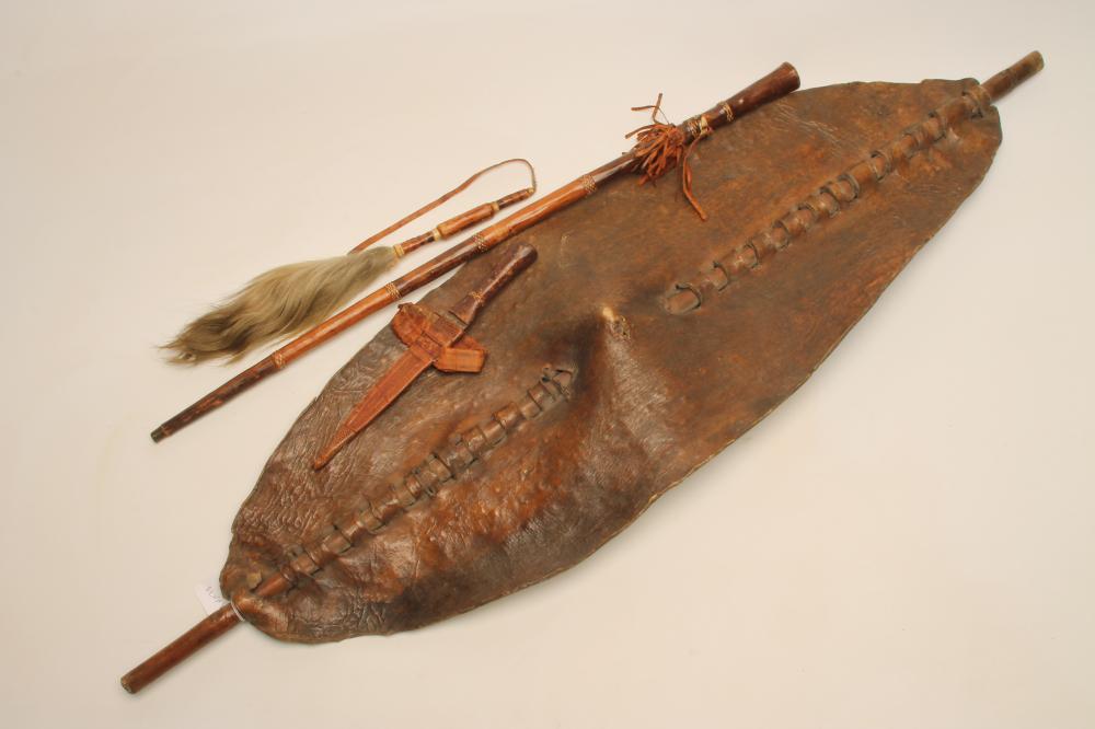 AN AFRICAN SHIELD Image