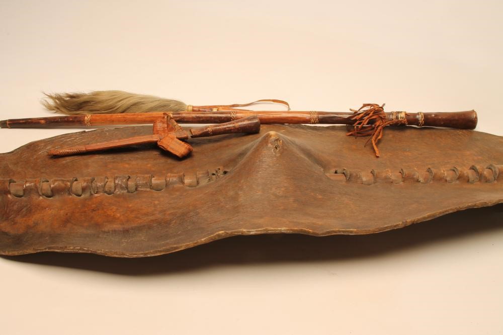 AN AFRICAN SHIELD Image