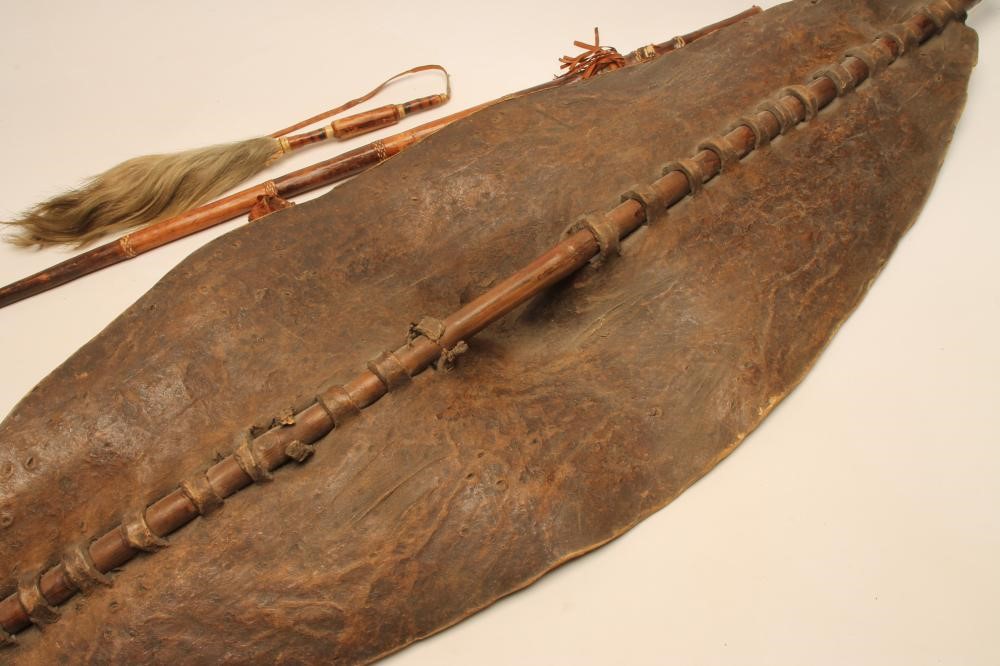 AN AFRICAN SHIELD Image