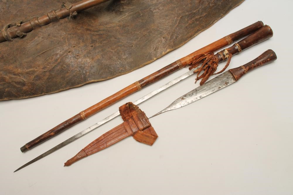 AN AFRICAN SHIELD Image