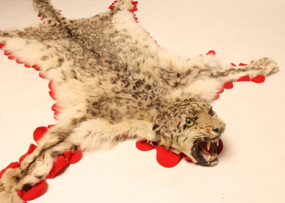 A SNOW LEOPARD SKIN RUG Image