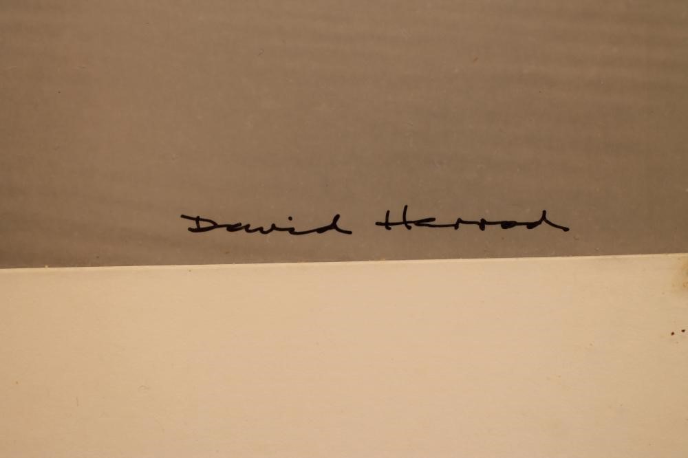 ‡DAVID HERROD (Contemporary) Image