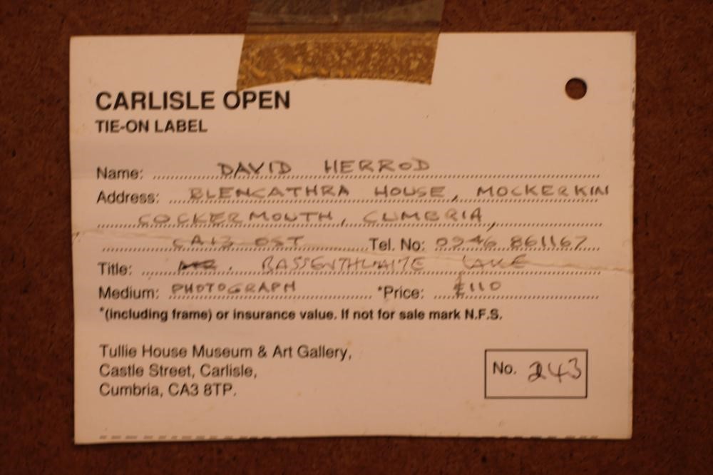 ‡DAVID HERROD (Contemporary) Image