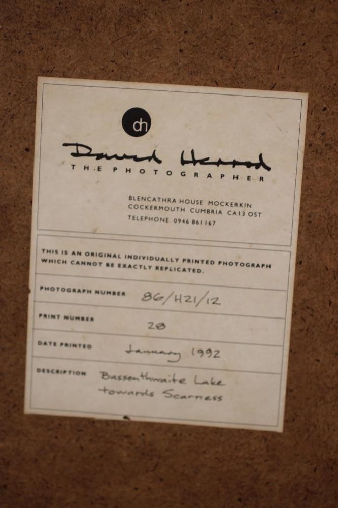 ‡DAVID HERROD (Contemporary) Image